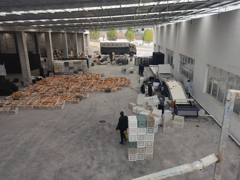 1645586755158511.png 奉節.png