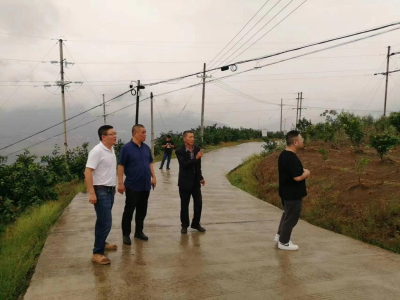 1664435570517103.png 鄉村振興.png