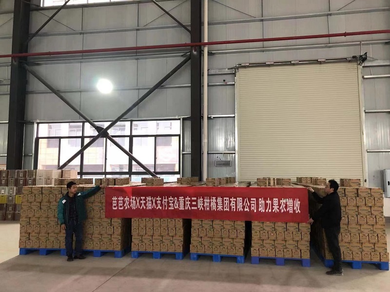 1676004636749973.jpg 8.jpg