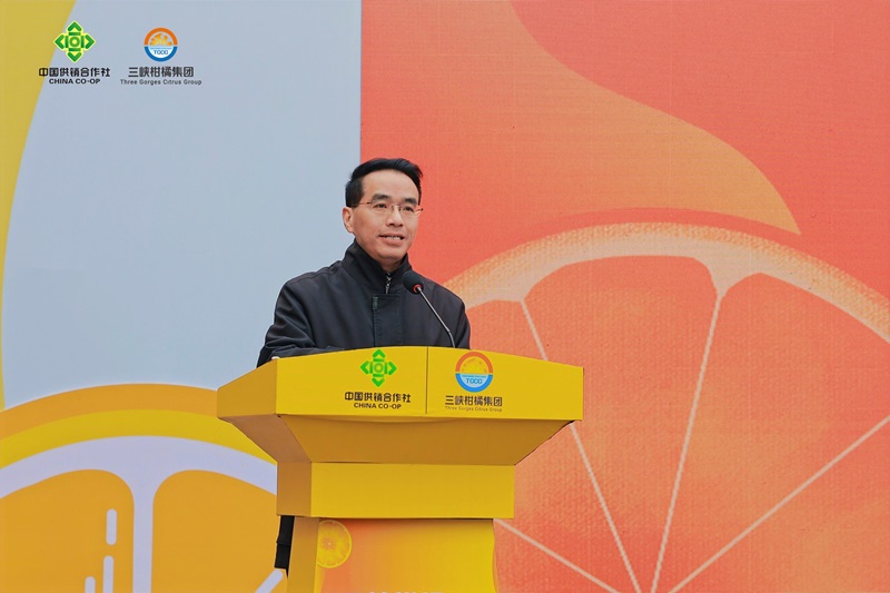 1703759062917533.jpg opq689273988.jpg