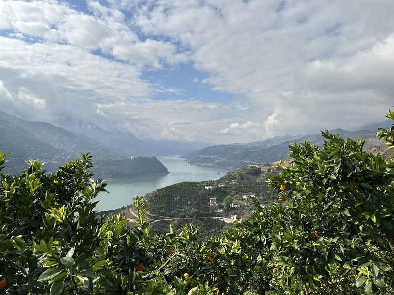 1704869989753650.png 圖片3.png